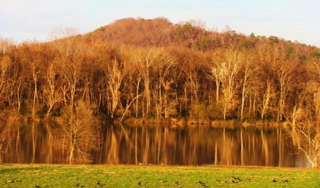 Tennessee Room At Tennessee Riverplace チャタヌーガ エクステリア 写真